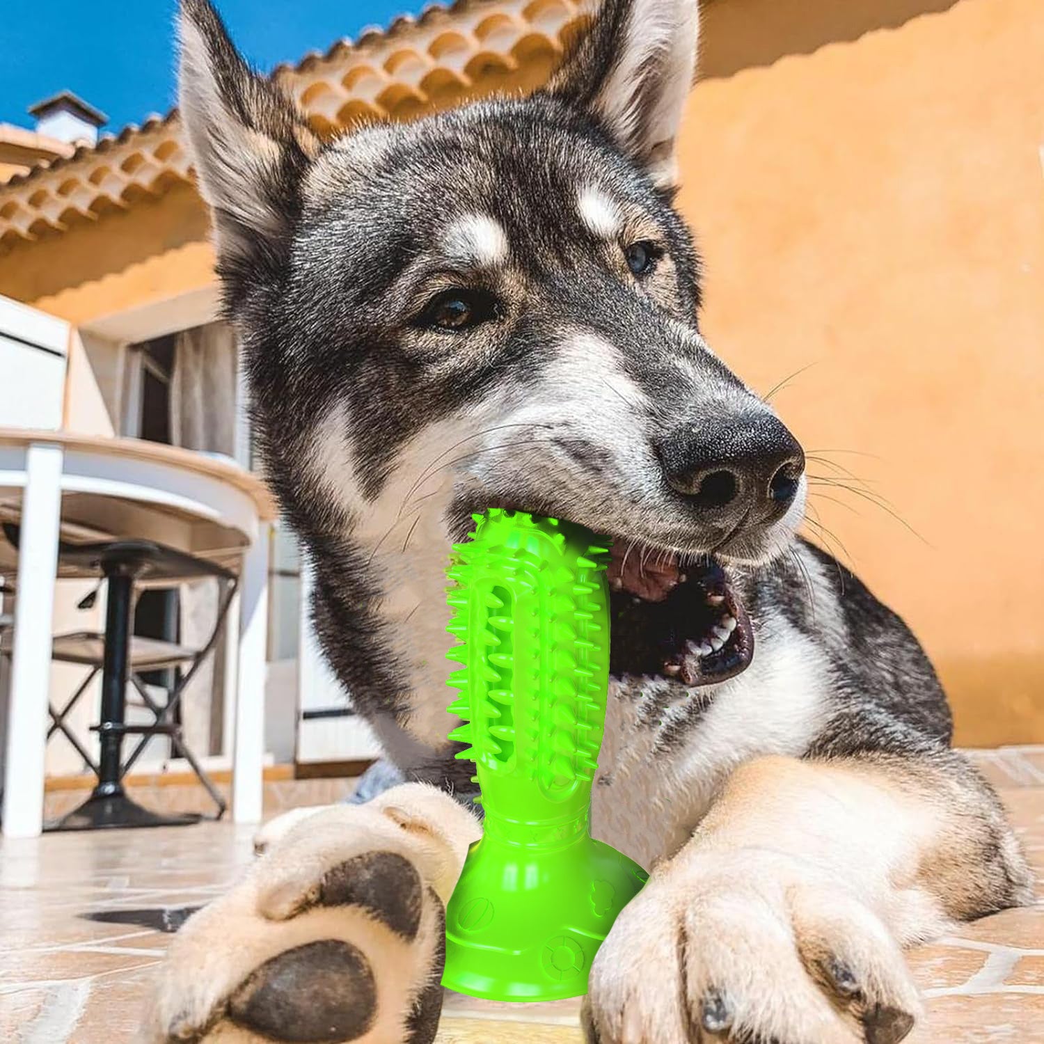 Different Functions Interactive Balls For Dogs Squeaky Dog Balls Toys And Puppy Teething Chew Toy Balls For Small Dogs Dog Balls For Clean Teeth And Training 4Pcs - Bellarte Enchanté Different Functions Interactive Balls For Dogs Squeaky Dog Balls Toys And Puppy Teething Chew Toy Balls For Small Dogs Dog Balls For Clean Teeth And Training 4Pcs